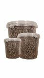 Premium Mehlwürmer, Ganzjahresfutter, Vogelfutter, insektenfutter, Igel, Reptilien, Vogel, Schildkröten, nager, Wildfutter, Hamsterfutter (1KG)