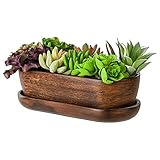 botle Keramik Blumentopf Blumenschale Kakteenschale Untersetzer Wasserloch Kakteen Bonsai Sukkulenten (oval, dunkel braun)