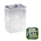 Aufzuchtbecken Aquarium - Acryl Double Layer Fische Ablaichkasten,Zuchtbecken Aquarium,Aquarium Fische, Aufzuchttank für Guppy, Garnelen, Mollys, (11 × 7 × 8cm)