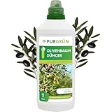 Purgrün® Olivenbaum-Dünger 1 Liter – Organisch-mineralische Rezeptur – Premium-Flüssigdünger mit Spurennährstoffen – NPK 8+8+6 – Für gesundes Wachstum & aromatische Oliven – Mit Guano & Aqua Plus