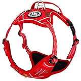 Reichstadt Pets Hundegeschirr 25RSP083 Puppy Love Red M