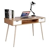 WOLTU Schreibtisch mit 2 Schubladen, Computertisch 120x58cm, Bürotisch mit 1 offenen Fach, Arbeitstisch, PC Laptop Tisch, Wohnzimmer, Gestell aus Stahl, Holz, Eiche