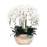 Künstliche Blumen, künstliche Blume, Simulation, Phalaenopsis, 8 Stück, Arrangements, Party, Dusche, Heimdekoration, Grünpflanzen, Topfblumen, Inneneinrichtung, Wohnzimmereinrichtung, Kunstblume