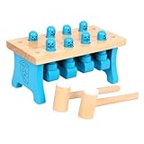 VICASKY 1 Set Spielzeug Für Kinder Schlagspielzeug Für Kinder Hämmerspielzeug Kinderspielsets Frühlernspielzeug Hammer Und Heringe Für Kleinkinder Feinmotorikspielzeug Spielzeug