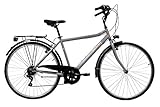 Discovery Denver Herren Trekkingrad Manhattan Herrenfahrrad (28 Zoll), Shimano 6 Gänge, Farbe Silber Metall