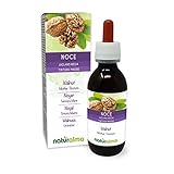 Walnuss (Juglans regia) Fruchtschalen oder Perikarp (Walnussschale) und Blätter Alkoholfreier Urtinktur Naturalma - Flüssig-Extrakt Tropfen 120 ml - Nahrungsergänzungsmittel - Veganer