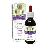 Wilde Karde (Dipsacus fullonum oder D. sylvestris) Wurzeln Alkoholfreier Urtinktur Naturalma | Flüssig-Extrakt Tropfen 120 ml | Nahrungsergänzungsmittel | Veganer