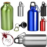 Trade Shop 09932 Trinkflasche aus Aluminium, 750 ml, für Sport, Arbeit, Schule, Reisen mit Karabiner