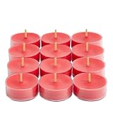 PartyLite Raspberry Lime Breeze Universal-Teelicht® Kerzen (12er-Set)