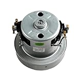 UPEHBTIN 1200 W Industriestaubsaugermotor, Staubsaugerteile, Motorriemen, Staubsaugerzubehör, Kompatibel Mit Philips, FC8202/8204/8256, for Qw12T-202, Staubsaugermotor(1pcs)