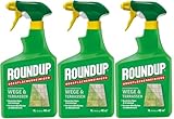 3 X 1L Roundup®Wege- & Terrassen Spray