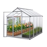 Gegaden Gewächshaus Aluminium für den Garten |Mit 8 cm dickeres Fundament| 242*190*195 cm | Vielseitig nutzbar als Treibhaus Gartenhaus winterfest Aufzucht Tomatenhaus Frühbeet und Pflanzenhaus silber