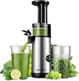 GDOR Kompakt Entsafter Leistungsstark Slow Juicer Leicht zu Reinigen Entsafter Gemüse und Obst Geräuscharm Juicer Machine, Hohe Saftausbeute, 600ml, Bürste Inklusive, BPA-frei