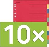 Falken Karton-Register für DIN A4 24 x 29,7 cm volle Höhe mit Organisationsdruck (10-teilig | 10er Pack)