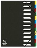 Exacompta 55121E Premium Ordnungsmappe Harmonika. Aus extra starkem Colorspan-Karton DIN A4 12 Fächer und 2 Gummizüge mit Indexfenster und dehnbarem Rücken Register-Mappe schwarz [Office Product]