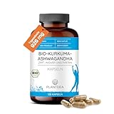Bio Kurkuma-Ashwagandha Kapseln mit Zimt, Ingwer und Piperin I 925mg Tagesdosis I 120 Bio Kapseln hochdosiert I laborgeprüft I veganes Pulver ohne Zusätze I PlantDEA