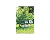 Kerbl Geflügelnetz PoultryNet 25 mtr., 106 cm Doppelspitze, grün, nicht elektrifizierbar 292279