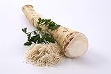 Meerrettich | Kren | Horseradish - Frische Stangenware (gewaschen, 250 - 300 g)