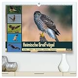 Heimische GREIFVÖGEL Adler Milan Bussard Weihe Sperber (hochwertiger Premium Wandkalender 2025 DIN A2 quer), Kunstdruck in Hochglanz