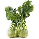 Kohlrabi - Kohlrabi wintergemüse steingartenpflanzen winterhart gemüsesamen - Seltene serie - balkonpflanzen winterhart winterfeste für kübel 300samen