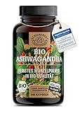 Bio Ashwagandha 1950mg je Tag -WICHTIG: Zertifiziertes Bio-Ashwaganda +Withanolide hochdosiert -240 Ashwagandha Kapseln Hochdosiert- Laborgeprüft und Vegan I DE SCHEUNENGUT®