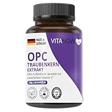 OPC Traubenkernextrakt – Vitamin C 60 hochdosierte Kapseln für 2 Monate – reines OPC aus französischen Weintrauben – vegan, in deutschen Laboren getestet
