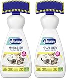 Dr. Beckmann Haustier Flecken-Bürste Reinigt Haustierschmutz, sogar Urin 650 ml (Packung mit 2)