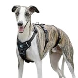 Paworld Sicherheitsgeschirr Hund, Anti Zug Hundegeschirr, Panikgeschirr für Hunde, Ausbruchsicheres Geschirr Hund, Verstellbare, Atmungsaktiv Weste für kleine, mittelgroße und große Hunde (Schwarz,M)