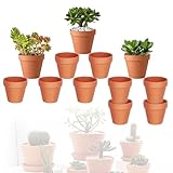 Abiemuce 12 Stück 7 X 6 cm Tontöpfe Klein mit Abflussloch, DIY Tontöpfe Klein zum Basteln Wiederverwendbar Terrakotta Topf für Pflanzen für Wohnung und Büro - Tontopf Blumentopf