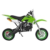 ERnonde 8 Zoll Dirt Bike, Kinder-Dirtbike Pocketbikes mit 49CC 2-Takt-Motor für Kinder und Jugendliche im Alter von 6-16 Jahren, bis zu 176,37 lbs (Grün)
