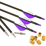 6 Stück 21-Zoll 400-Spine Pfeil Abnehmbare Pfeilspitzen Übungspfeil Jagdpfeil Pfeilfedern aus Plastik Carbonpfeile Bogenpfeile für Langbogen Recurvebogen Compoundbogen Bogenschießen Violett A12