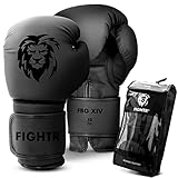 FIGHTR® Boxhandschuhe mit bestem Sitz für maximale Stabilität | Männer und Frauen | für Boxen, MMA, Muay Thai, Kickboxen & Kampfsport 08 10 12 14 16 oz | inkl. Tragetasche