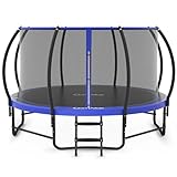 CalmMax Trampolin mit Gehege, 3,6 m, verstärkte Gebogene Stangen, Freizeit-Trampoline mit Leiter, ASTM-Zulassung, Outdoor-Trampolin für Kinder und Erwachsene