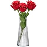KONZEPT Glasvase 25cm Hoch, Blumenvase modern, Vase rillen, klein, Deco für Pampasgras, Tulpen und Trockenblumen