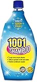 1001 Teppich-Shampoo