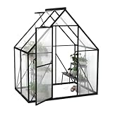 Froadp Gewächshaus aus Aluminium mit Fundament 125x180x195cm Gartengewächshäuser 4mm PC-Hohlkammerplatten Wetterfest Treibhaus, Tomatenhaus mit Fenstern Treibhaus für Garten & Aufzucht