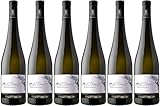 Zanotelli Gewürztraminer Linea Le Strope Trentino DOC 2023 (6 x 0.75 l)