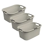 Rotho Country 3er-Set Wäschekorb 40l, Kunststoff (PP) BPA-frei, beige, 40l (58.0 x 38.9 x 25.1 cm)