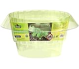 Dehner Schneckenschutzring 10er Set, Ø 13/19 cm, Höhe 12 cm, Kunststoff