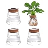 EBKCQ Anzuchtstation Pflanzen Glas, 4 Stück Hydroponische Vase, Ableger Pflanzen Glas, Pflanzen Terrarium Glas Pflanzen Anzucht Pflanzgefäß mit Holzdeckel, für Hydrokultur, Tischdekoration