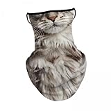 Aymzbd 4x Hals Giter Gesichtsmaske Bandana Polyester Tiermaske Schal Halsabdeckung Nasenmundhalle Abdeckung Zum Radfahren Motorrad Im Freien