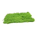 EPIGEIST Künstliches Moos Dekorativer Künstlicher Rasenteppich Feines Micro landschafts dekor Naturgetreues Fake Moos für Garten Basteln Terrarien und Miniatur dioramen