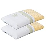 EVERGREENWEB 2er Set Orthopädische Viscoschaumstoff Kissen 40x70 h12 cm Kern aus Viscoelastische Viscoschaum und Kissenbezug Aloe Vera Kopfkissen, Nackenkissen, Medizinisches Gerät, Made in Italy