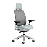 Steelcase Series 2 Ergonomischer Bürostuhl mit LiveBack Lumbalstütze, 4D-Armlehnen, anpassbarer Kopfstütze Sturmhorizont