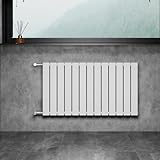 WITEN&NOCK Design Heizkörper Flach Paneelheizkörper Weiß 1000 x 600 mm Doppellagig mit Seitenanschluss Austauschheizkörper Nabenabstand 550 mm inkl. Montageset