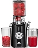 LINKChef Schnellreinigungs Entsafter, NO-Prep Entsafter Gemüse und Obst, Blitzreiniger Saftpresse Slow Juicer Testsieger mit Einfacher Installation, BPA Frei, 115mm, 1.2L, 200w Schwarz