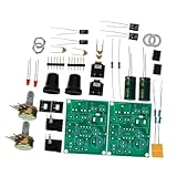 Alipis 2sätze Mini Audio Verstärker Platine Diy Löten Kit Stromsparend Stereo Verstärker Schaltkreis Board Mit Power-led Für Hifi Boxen Anwendung