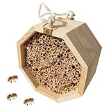 Bienenhotel Bienenhaus aus Bestäuberpalast Schmetterlingshaus Hinterhof Wespenlebensraum zieht Bestäuber an