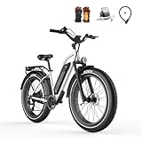 Himiway Cruiser Ebike 48V 17,5Ah/840Wh Akku, E-Mountainbike 250W 25 Km/h für Herren und Damen Elektrofahrräder mit 7-Gang-Kettenschaltung