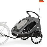 Hauck Fahrrad Anhänger 2 Kinder Dryk Duo inkl. Deichsel, Buggyrad und Fahne, Klappbar, Groß, XL Stauraum, Einfache Befestigung am Fahrrad, Nutzung als Buggy, Grau, 1 Stück (1er Pack)